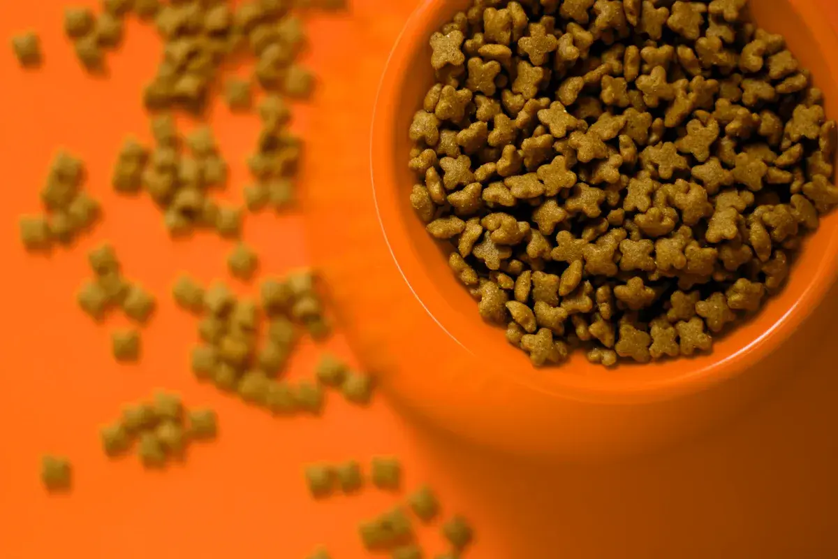Faster Order Processing — Veterinary, Ordering customer story